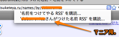 マニア向けRSS