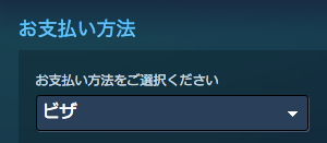 ビザ